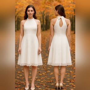 Tahari Arthur S. Levine Women’s  S  White Empire Waist Crochet Lace A-Line Dress